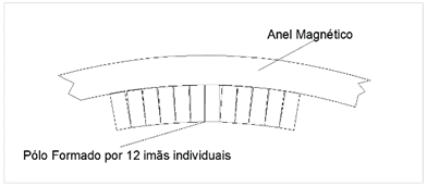 Figura 6 - Formação do polo